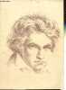 Brochure : Orchestre de Bordeaux-Aquitaine Roberto Benzi - Ludwig van Beethoven les 9 symphonies - Palais des sports Bordeaux.. Collectif
