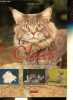 Le chat, la vie des animaux.. Collin Isabelle