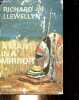 A Man in a Mirror.. Llewellyn Richard