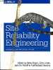 Site reliability engineering how google runs production systems.. B.Beyer C.Jones J.Petoff N.Richard Murphy
