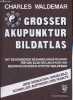 Grosser akupunktur bildatlas - 17. und 18. auflage.. Waldemar Charles