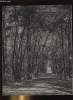 LA REVUE DU TOURING CLUB DE FRANCE N° 547 - Hivernage par Henry Gasquet, La forêt a l'honneur par J. Demorlaine, Paiement de la cotisation 1942, Art, ...