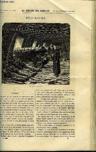 LA SEMAINE DES FAMILLES 6EME ANNEE N°37 - MOEURS MARITIMES DE G. DE LA LANDELLE, HISTOIRE NATURELLE - LA TORTUE DE POLYCARPUS, SALON DE 1864 III DE ALFRED NETTEMENT, LES PRELAVONNAIS III DE ANNA EDIANEZ
