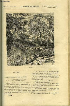 LA SEMAINE DES FAMILLES 10EME ANNEE N°46 - EN FORET DE ALFRED NETTEMENT, MA GRANDE SOEUR DE ZENAIDE FLEURIOT, LA CATHEDRALE DE SENLIS DE G. DE ...