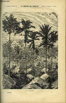 LA SEMAINE DES FAMILLES 11EME ANNEE N°5 - FERNANDO-PO DE C. LAWRENCE, ETUDES D'HISTOIRE ET PORTRAITS - MALOUET DE ALFRED NETTEMENT, LA GRANDE ...