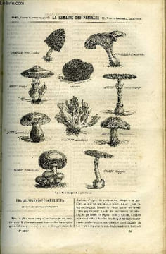 LA SEMAINE DES FAMILLES 13EME ANNEE N°25 - LES CHAMPIGNONS COMESTIBLES ET LES CHAMPIGNONS VENENEUX DE R. SAINT-VICTOR, FOSCARI , DOGE DE VENISE DE ...