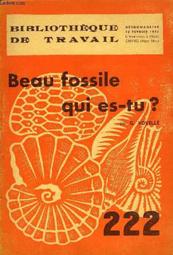 BIBLIOTHEQUE DE TRAVAIL N°222 - BEAU FOSSILE QUI ES-TU ?. COLLECTIF
