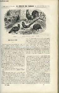 LA SEMAINE DES FAMILLES 14EME ANNEE N°11 - LES GALLINACES DE POLYCARPUS, EMILE DESCHAMPS DE ACHILLE TAPHANEL, CHRONIQUE SCIENTIFIQUE DE CONON, LE CHILI DE XAVIER DE CORLAS, AIGLE ET COLOMBE XIV DE ZENAIDE FLEURIOT, SONGERIES D'UN ERMITE DU COMTE DE NUGENT