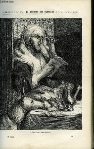 LA SEMAINE DES FAMILLES 14EME ANNEE N°20 - LA VIEILLE FEMME DE HIPPOLYTE AUDEVAL, CHRONIQUE SCIENTIFIQUE DE CONON, AIGLE ET COLOMBE XXVI DE ZENAIDE FLEURIOT, LES FENIANS D'IRLANDE DE BATHILD BOUNIOL, LA CATHEDRALE D'AMIENS DE ***, SONGERIES D'UN ERMITE
