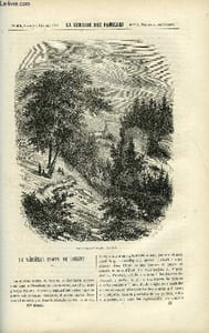 LA SEMAINE DES FAMILLES 17EME ANNEE N°45 - LE GENERAL COMTE DE BOIGNE DE BATHILD BOUNIOL, LES DEBRIS DU NAUFRAGE IV DE MICHEL AUBRAY, LES CARAVANES DE L. DUSSIEUX, LE PREMIER TOUR DU MONDE III DE G. DE LA LANDELLE, TROIS MOIS DE SEJOUR A L'ILE SAINT-PAUL