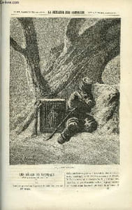 LA SEMAINE DES FAMILLES 17EME ANNEE N°47 - LES DEBRIS DU NAUFRAGE VI DE MICHEL AUBRAY, LE GENERAL COMTE DE BOIGNE II DE BATHILD BOUNIOL, LES CARAVANES DE L. DUSSIEUX, ISSAC NEWTON DE ONCLE TOBIE, LE PREMIER TOUR DU MONDE III DE G. DE LA LANDELLE