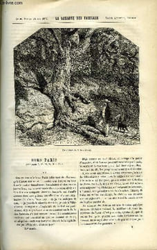 LA SEMAINE DES FAMILLES 21EME ANNEE N°8 - HORS PARIS VII DE CH. BARTHELEMY, TRANQUILLE ET TOURBILLON III DE ZENAIDE FLEURIOT, LES ILLUSTRES PARVENUS - ...