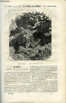 LA SEMAINE DES FAMILLES 23EME ANNEE N°44 - LES EDENTES DE H. DE LUSILLY, LA PREMIERE FEMME AUTEUR DE L'ANGLETERRE DE S. DUSSIEUX, LA FEMME DE MON PERE ...
