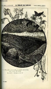 LA SEMAINE DES FAMILLES 26EME ANNEE N°40 - DEUX VUES DE TERRE SAINTE DE THERESE ALPHONSE KARR, DANS UN VIEUX LOGIS IV DE REMY D'ALTA-ROCCA, L'ARBRE DE NOEL DE LEONTINE ROUSSEAU, EN MAITRE IV DE L. MUSSAT, LES DEUX PORCS DE LAMONTAGNE