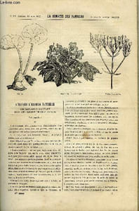 LA SEMAINE DES FAMILLES 27EME ANNEE N°11 - A TRAVERS L'HISTOIRE NATURELLE - UNE EXCURSION BOTANIQUE DANS LES JARDINS DE CHARLEMAGNE DE THERESE ALPHONSE-KARR, MAMAN CAPITAINE V DE VICTOR FOURNEL, A TRAVERS LE CANADA DE XAVIER MARMIER, VICTOR HUGO