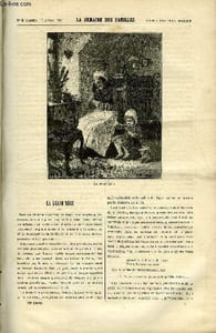 LA SEMAINE DES FAMILLES 28EME ANNEE N°3 - LA GRAND'MERE DE CH. BARTHELEMY, L'ERREUR DE LA BARONNE DE ZENAIDE FLEURIOT, REVERIES ET REFLEXIONS DE XAVIER MARMIER, LE FIGUIER DE NOUKA-HIVA DE ABEL GAVEAU, LA STATUE GRECQUE DE TIBUR DE THERESE ALPHONSE-KARR
