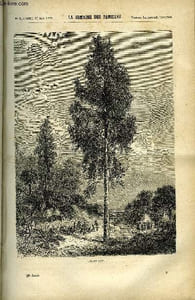 LA SEMAINE DES FAMILLES 28EME ANNEE N°7 - LES EUCALYPTUS DE H. DE LUSILLY, MIDI A QUATORZE HEURES VII DE J. GIRARDIN, SOUVENIRS DE J. MARBEUF, MORT DE CHRISTOPHE COLOMB DE CH. BARTHELEMY, L'ERREUR DE LA BARONNE VI DE ZENAIDE FLEURIOT
