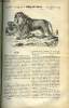 LA SEMAINE DES FAMILLES 28EME ANNEE N°24 - LE LION DE H. DE LUSILLY, UNE FILLE DE CATHERINE DE MEDICIS III DE THERESE ALPHONSE KARR, FORTUNE FAITE DE ...