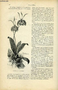 LE MONDE MODERNE TOME 4 - ORCHIDEES + LE PALAIS DE LA COUR DES COMPTES