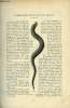 LE MONDE MODERNE TOME 5 - Principaux serpents de France par M. Kaufmann, Le mouvement littéraire par Léo Claretie, Causerie scientifique. COLLECTIF