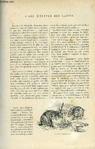 LE MONDE MODERNE TOME 10 - L'ART D'ELEVER DES LAPINS