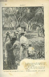 LE MONDE MODERNE TOME 12 - JEANNOT + PLANTES A PIEGES ET FLEURS A SECRET