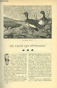 LE MONDE MODERNE TOME 22 - LES RACES QUI S'ETEIGNENT