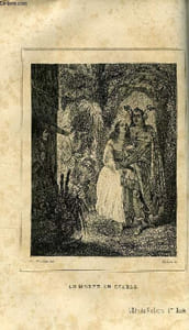 EXTRAIT DE L'ECHO DES FEUILLETONS - RECUEIL DE NOUVELLES, CONTES, ANECDOTES, EPISODES, ETC - Sixième année. Le Morne-au-Diable par Eugène Sue, Rose de Gueldre ou boule de neige, L'étoile du soir par Prosper Blanchemain, Deux passions en 1845