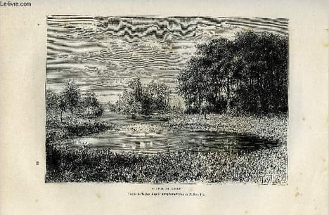 NOUVELLE GEOGRAPHIE UNIVERSELLE - LA TERRE ET LES HOMMES - II. LA FRANCE - Chapitre VII : Le bassin de la Loire - Bords de la Loire, Loire, Allier, ...