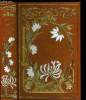 LETTRES DE MON MOULIN - LES AMOUREUSES. DAUDET ALPHONSE