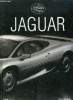 Jaguar. Skilleter Paul