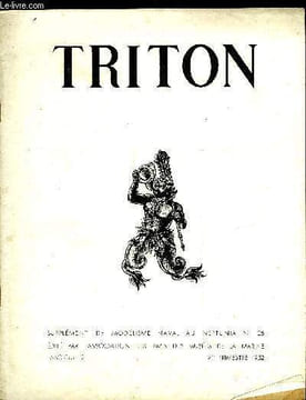 TRITON N° 21 - La construction des modèles réduits - chapitre II. Les batiments de guerre, Petite encyclopédie du Navire par l'image - Les navires du ...
