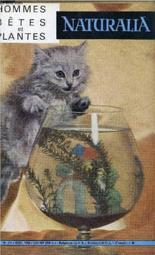 NATURALIA BETES ET PLANTES N° 111 - Gibier de décembre par Tony Burnand, Les animaux de l'espace par Roger Delorme, Nos grives par Hyacinthe Huber, ...