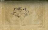 GAZETTE DES BEAUX-ARTS VINGT-CINQUIEME ANNEE LIVRAISON N° 2 - Benvenuto Cellini par Edmond Bonnaffé, Léon Gambetta, amateur d'art par Jules Claretie, ...