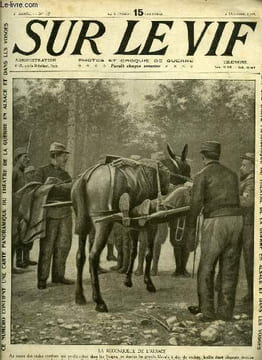 SUR LE VIF N° 47 - La reconquête de l'Alsace, Sur le front, Une lutte entre aéros et zeppelin, Trois photos trouvées sur un boche, Les vieux, Dans les ...