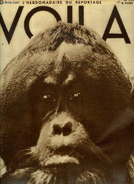 VOILA N° 116 - Che combinazione par Louis Latzarus, Adieu passy par Michel Duran, La vie parisienne, l'école des réfractaires par Alain Laubreaux, ...