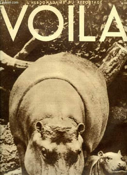 VOILA N° 117 - Force par Louis Latzarus, Bolides par Raymond Saladin, Le congrès s'amuse par Merry Bromberger, Les belles cinémaniaques par Henri ...