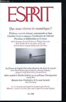 Esprit n° 324 - Les sens d'un mouvement, La France de l'après CPE et les chantiers du droit du travail - Une crise a répétition : l'entrée dans la vie ...