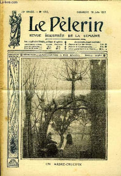 Le Pèlerin n° 1798 - Un arbre-curieux, Le feu tournant, Le millénaire normand, Pince sans rire, La conquête de l'air, Dans la peine comme dans la joie ...