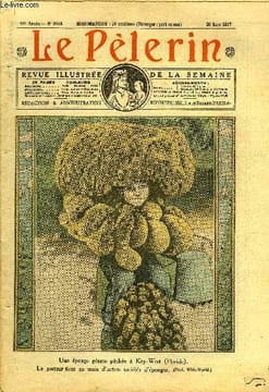 Le Pèlerin n° 2608 - Une éponge géante pêchée a Key West, le porteur tient en main d'autres variétés d'éponges, Un grand acte de l'Episcopat français, ...
