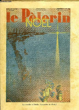 Le Pèlerin n° 3170 - La marche a l'étoile, Carillons de Noël, Une fleur d'hiver, la rose de Noël, Dilorto et la guerre des goals, Abandon d'enfants ...