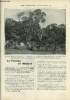 Les missions catholiques n° 1953 - La famine au Maduré, Dans l'Ijébou par le R.P. Hermann, La mission d'Eski-Chéhir, entre Eski-Chéhir et Angora. ...