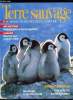 Terre sauvage n° 35 - Antarctique : plaidoyer pour le dernier continent par Guillaume Rondelet, Manchot empereur : une enfance au réfrigérateur par ...