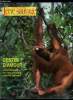 Terre sauvage hors série n° 5 - La tendresse et les rites amoureux chez les primates, La sexualité humaine trouve ses origines chez les primates, ...