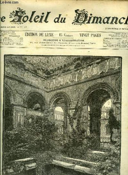 Le soleil du dimanche n° 46 - La démolition des ruines de la cour des comptes, l'ancienne salle des fêtes, Beaux-arts, le bouquet de fête, La grive, ...