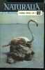 Naturalia n° 31 - En mangeant un oeuf a la coque par Dr L. Marceron, L'oeuf et nous par P.H. Goislard, L'oeuf des poissons par L. Bertin, La ponte des ...
