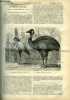 La science pour tous n° 16 - Les dernieères acquisitions du muséem d'histoire naturelle de Paris, le messager, le casoar a casque par le Dr Mary ...