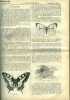 La science pour tous n° 21 - Les papillons par Dr Mary Durand, Une descente dans une mine de houille par Henri Villain, La science en ballon par ...