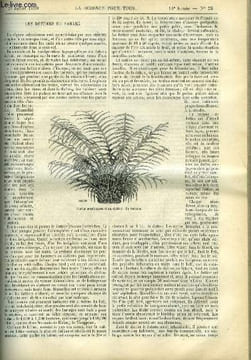 La science pour tous n° 35 - Les dattiers du Sahara par J. Girard, Un mot sur l'industrie du guano, Encore une exposition, Activité des architectes en ...