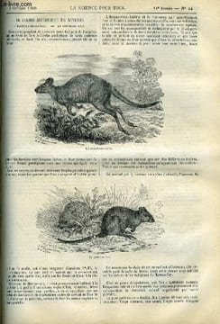 La science pour tous n° 44 - Le jardin zoologique de Londres, l'halmature-thétis - le potoroo rat par David Sauzéa, Etat des travaux du tunnel du ...